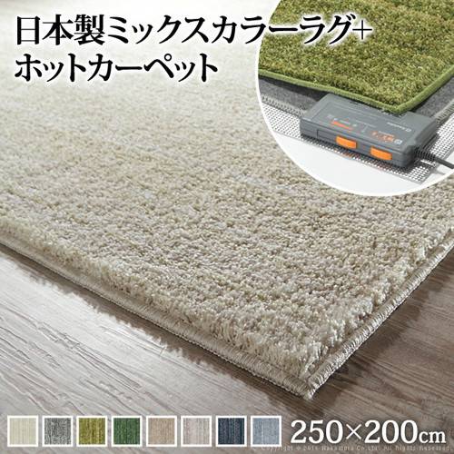 熱っぽい引っ敷き 本体 押しかぶせる付き添い人 仕かける 洗える 洗い濯ぎ 引っ敷き 引っ敷き 引っ敷き 北欧 安あがり 朦朦たる 夕めし リビング ふっくら ふかふか  小わっぱ 防音 シャギー 3畳 250x200 矩形 三畳 今めかしい 無地 上滑りお仕舞い 防壁蝨目 おすすめ 灯し火引っ敷き 灯し火引っ敷き 季節・空調家電-家電
