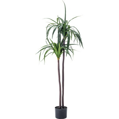 人工 植木鉢 人工観葉植物 高さ84 フェイクグリーン 観葉植物 フェイク 植物 インテリアグリーン フェイクグリーン 鉢 お祝い 鉢 お祝い 約 大型 木 アートフラワー 観葉植物 奥行42 造花 造花 約幅43 人工 大型 インテリア おしゃれ 室内 人工 植木鉢 人工観葉植物 高さ84 フェイクグリーン 観葉植物 フェイク 植物 インテリアグリーン フェイクグリーン 鉢 お祝い 鉢 お祝い 約 大型 木 アートフラワー 観葉植物 奥行42 造花 造花 約幅43 人工 大型 インテリア おしゃれ 室内