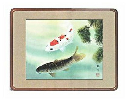 額　掛け軸　優鯉　森山観月　掛軸　絵画　全国送料無料　【smtb-k】【ky】