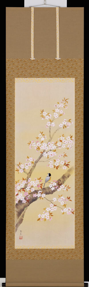 掛け軸 桜 さくら 肉質 掛軸 春 景色 壁掛け 在銘 大型 楽天市場】掛け軸 【 開運 掛軸 春爛漫 鶯と桜 [桜花 花鳥図