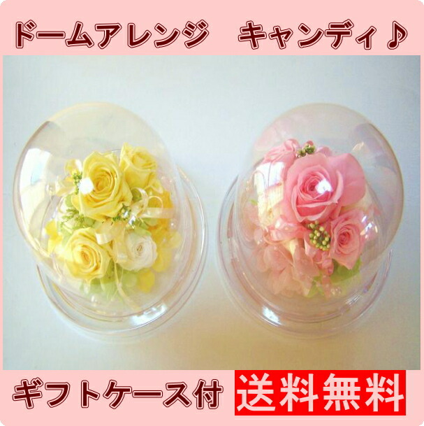 A Ki Flower Je Preserved Gift Offerings Bon Tray Flowers Preserved Gift Offerings Bon Flower Tray Flowers 新盆 Preser Dome Pets Offering Gl Pet Buddha