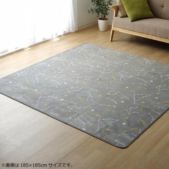 ラグ カーペット ホットカーペットカバー 『WSミリオン　RUG』グレー約200×300cm 9809984【送料無料】