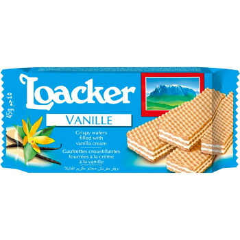 ＼エントリーでポイント5倍！マラソン期間限定！／ ロアカー　クラシック　バニラ　45ｇ　144セット【送料無料】