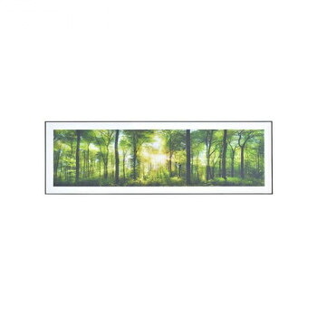 ＼エントリーでポイント5倍！マラソン期間限定！／ 東谷 アートパネル 写真 自然 140×45cm ホワイト ART-201A【送料無料】