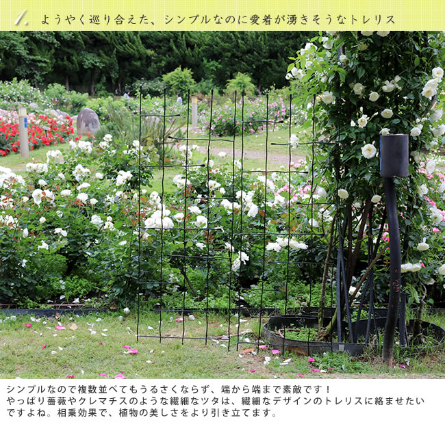 在庫限りッ アウトレット アイアンフェンス フィーユ 60 2枚組 フェンス ゲート 扉 アイアン ガーデンフェンス ガーデニング 枠 柵 仕切り 目隠し 境目 クラシカル アンティーク トレリス ベランダ つる 薔薇 バラ 朝顔 園芸 ラティス フェンス アイアン ガーデン