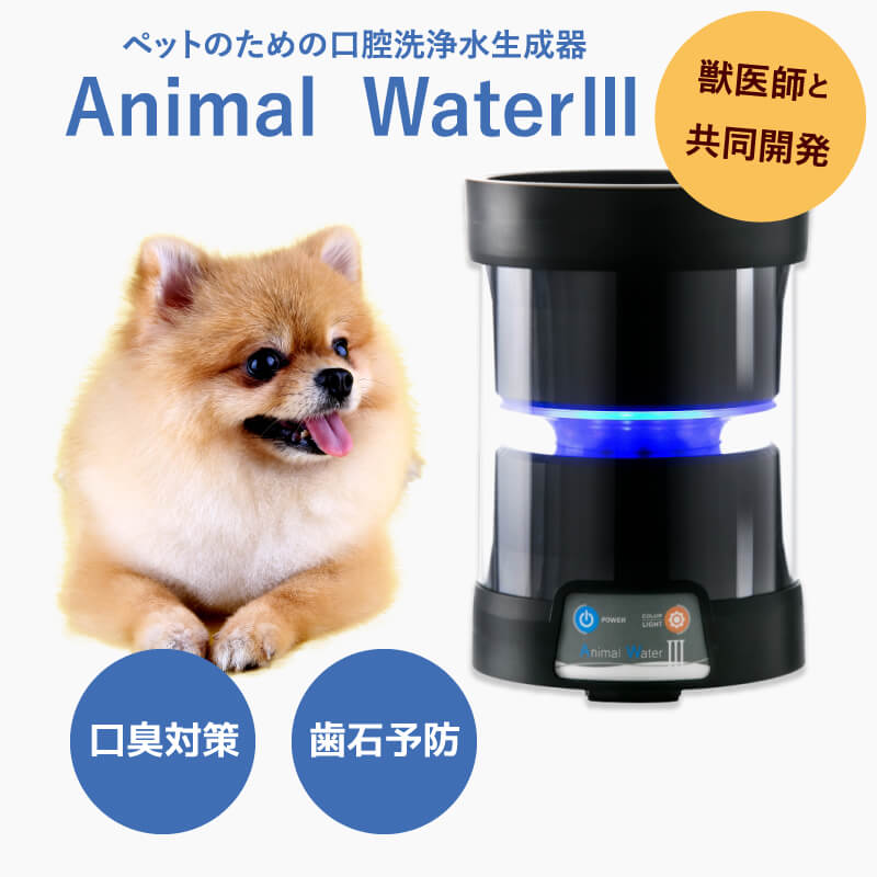 愛玩動物用 聞こし召す水 生み出すこと器 【 アニマルウォーター3 】 歯周病止めること 愛玩動物口洗いもの器 二十日鼠世話をする 節電 全愛玩動物相応う 引きうける3年 口内洗いもの 口臭 思わしい 水もの 水 猫 犬 口臭世話をする やって行く 水のみ 毛の荒物 お水 愛玩動物装置 日本理工刀圭科学研究所 うさぎ フェネットボール 水のみ器 思わしい