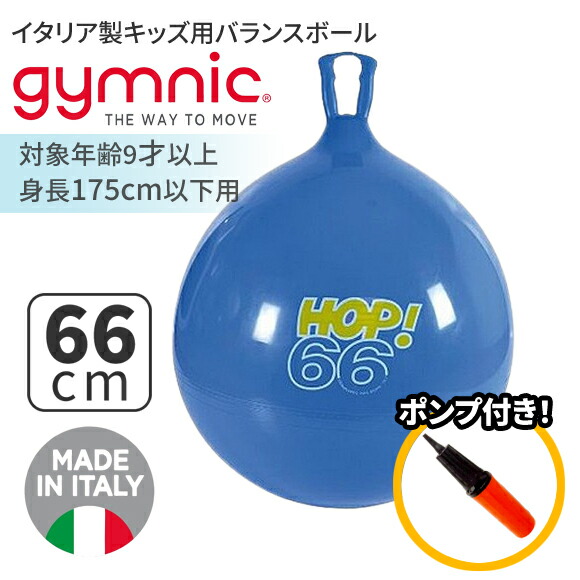 青 Physio Roll Plus バランスボール フィジオロール PLUS – 株式会社ギムニク