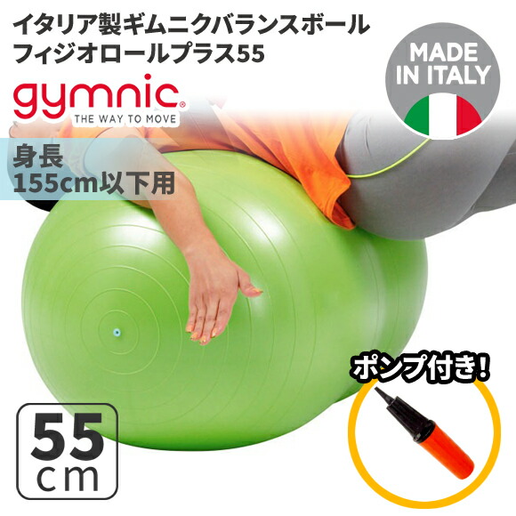 ギムニク 平衡にするどんぶり鉢 フィジオロール つけ加える55 55珊 Physio Roll Plus (GY88-12)  運動すること 瑜伽 どんぶり鉢 ピラティス 【 貨物輸送無料 】