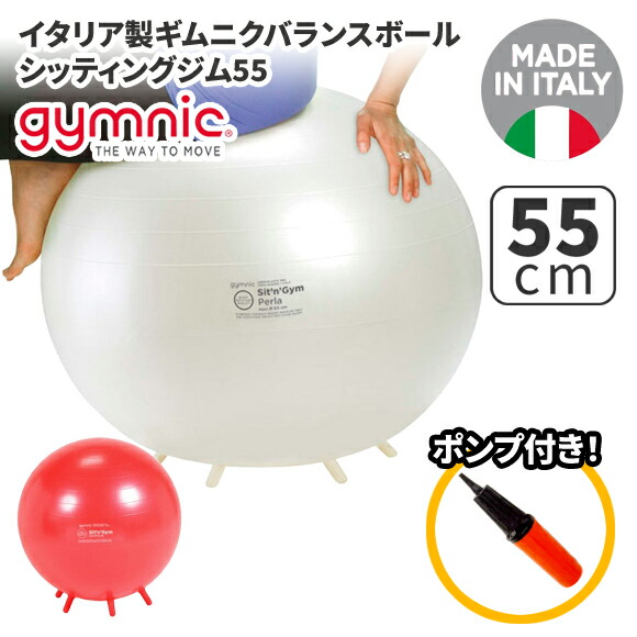 Gymnic Physio Roll バランスボール　55 Gymnic Physio Rolls – KETTLER USA