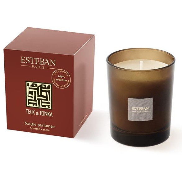 日本香堂 ESTEBAN(エステバン) テッケトンカ キャンドル 54012 4,803円