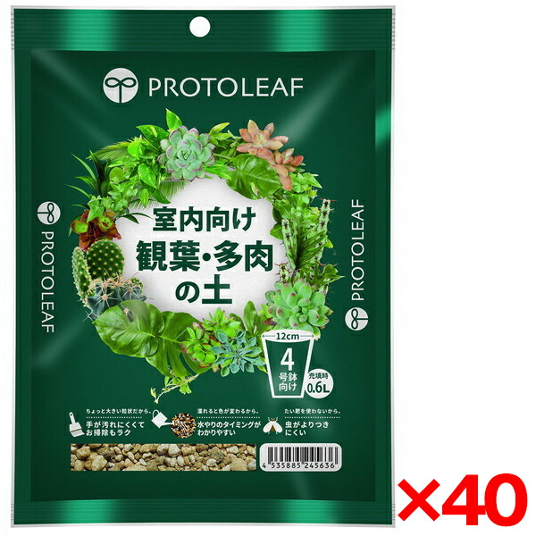 【百貨店SALE】引き換え証特集