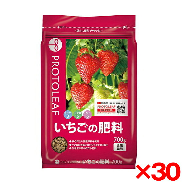 【30個セット】プロトリーフ いちごの肥料 700g メーカー直送|XPRICE店