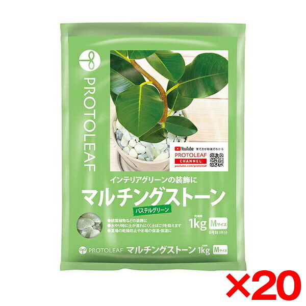 【20個セット】プロトリーフ マルチングストーン(パステルグリーン)M 1Kg [観葉植物用砂利] メーカー直送