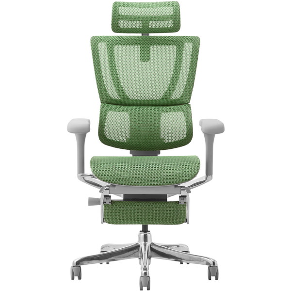 関家具 459652 Ergohuman FIT2-LPL-DR-GF-GN グレーフフレーム×グリーン [オフィスチェア] メーカー直送