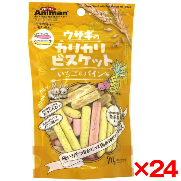 【24個セット】ドギーマン ウサギのカリカリビスケット いちご&パイン味70g メーカー直送