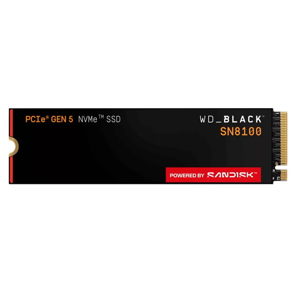 SANDISK WDS100T1XHM WD_BLACK SN8100 NVMe [内蔵ストレージ (SSD M.2 1TB ヒートシンク搭載)] 【KK9N0D18P】｜XPRICE店