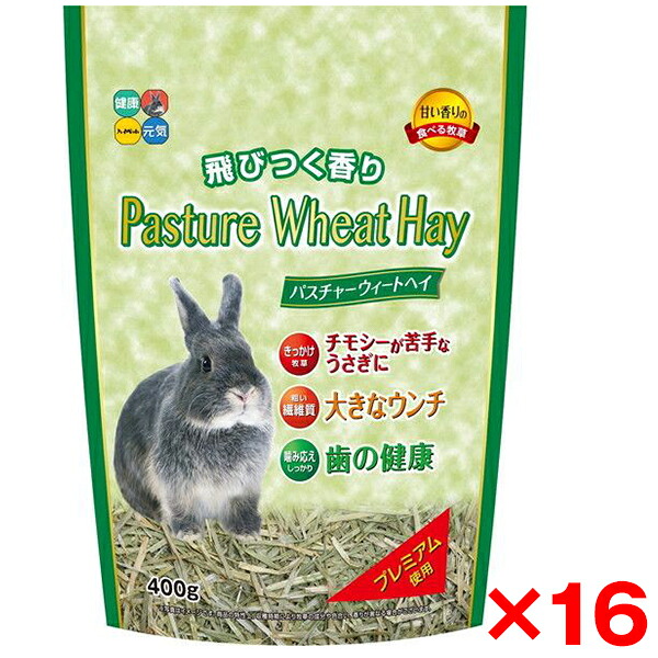 【16個セット】ハイペット パスチャー ウィートヘイ 400g