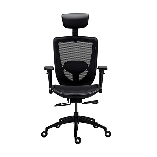 FusionInnovation TS-E3-BK ブラック Alphaeon E3 Mesh 座面/バックレスト メッシュ採用モデル [オフィスチェア] 54,120円
