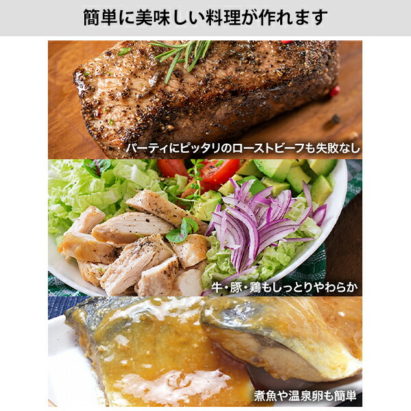 Thanko サンコー マスタースロークッカーs 低温調理器 低温調理機 家庭用 真空 調理 鍋 ローストビーフ サラダチキン チャーシュー 糖質制限 ダイエット 手作り 真空パック タイマー付き 自炊 在宅 外出自粛 Sshorslc Schwimmbad Delphine De