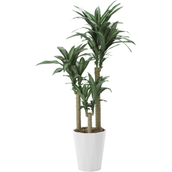 幸福を招く木として名高く ドラセナ科の中でも圧倒的な人気です アートナップ 400a300 花 観葉植物 人工観葉植物 人工樹木 アートナップ 幸福の木1 6m Xprice店