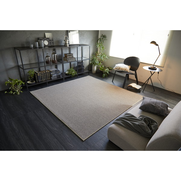 スミノエ アレルブロック ラグ フォルテ 190&times;240cm ベージュ メーカー直送｜XPRICE店