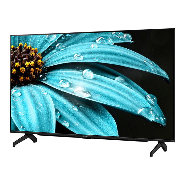 テレビ 50型 シャープ SHARP 4T-C50EJ1 アクオス AQUOS 4K EJ1ライン 50インチ 地上・BS・CSデジタル 4K内蔵 液晶テレビ エクプラ特選｜XPRICE店