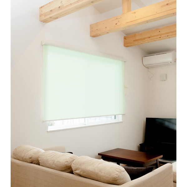 Fullness L3517 RSエクシヴ 165X220 GR グリーン [カバー付ロールスクリーン 無地タイプ 165&times;220cm] メーカー直送｜XPRICE店