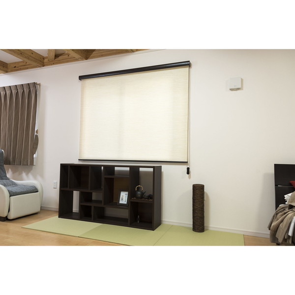 Fullness L3551 RSエクシヴ 165X220 NBE ナチュラルベージュ [カバー付ロールスクリーン 天然調 165&times;220cm] メーカー直送｜XPRICE店