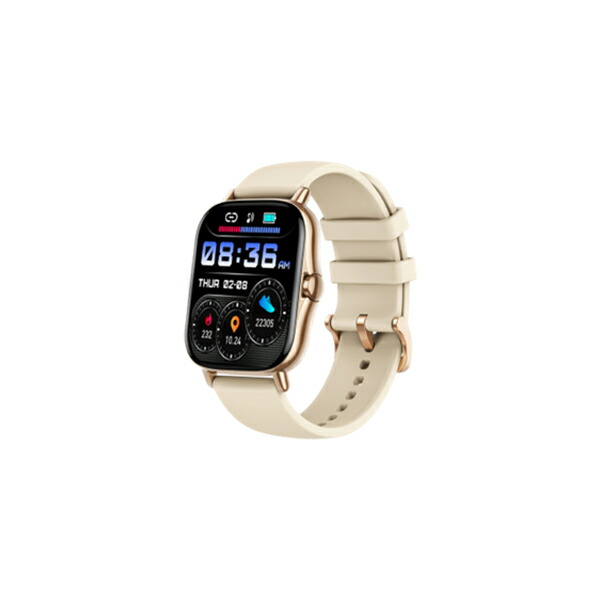 限定品　ゴールド&シルバーウォッチ&限定品の6点セット Sinn 豪華おまけ有 ジン T50.GOLDBRONZE 自動巻 腕時計 メンズ