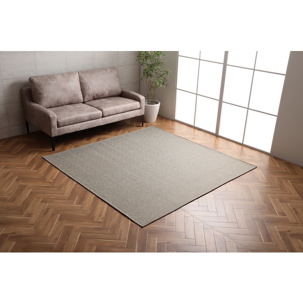 イケヒコ・コーポレーション 1293290027502 カーム 約4畳用 BE 200&times;290 メーカー直送｜XPRICE店