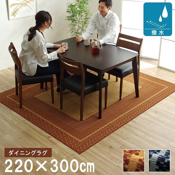 イケヒコ・コーポレーション 1340700062603 カントネ 大判長方形 BR 220&times;300 ブラウン [ダイニングラグ] メーカー直送｜XPRICE店