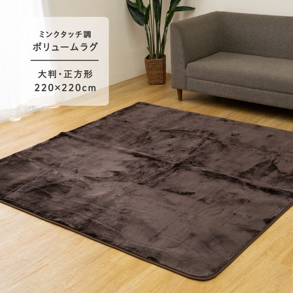 イケヒコ・コーポレーション 1280500060903 cpウェンデル 大判正方形 BR 220&times;220 ブラウン [カーペット (ボリュームラグ)] メーカー直送｜XPRICE店
