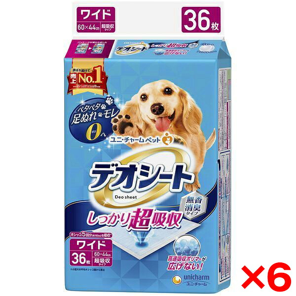 【当店特選】引き換え証特集