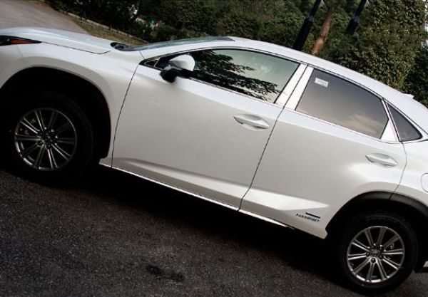 レクサス NX 200t 300h LEXUS NX サイドドアガーニッシュ 専用 サイドドアモール ステンレス ドアトリム アンダーモール 鏡面　6P