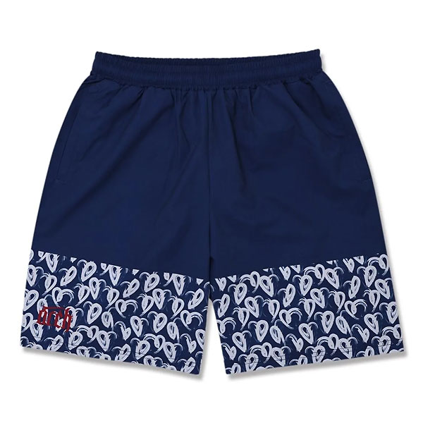 <ネコポス発送 送料無料> ARCH(アーチ) B125115 NVY バスケットボール プラクティスパンツ brush heart shorts 25SS