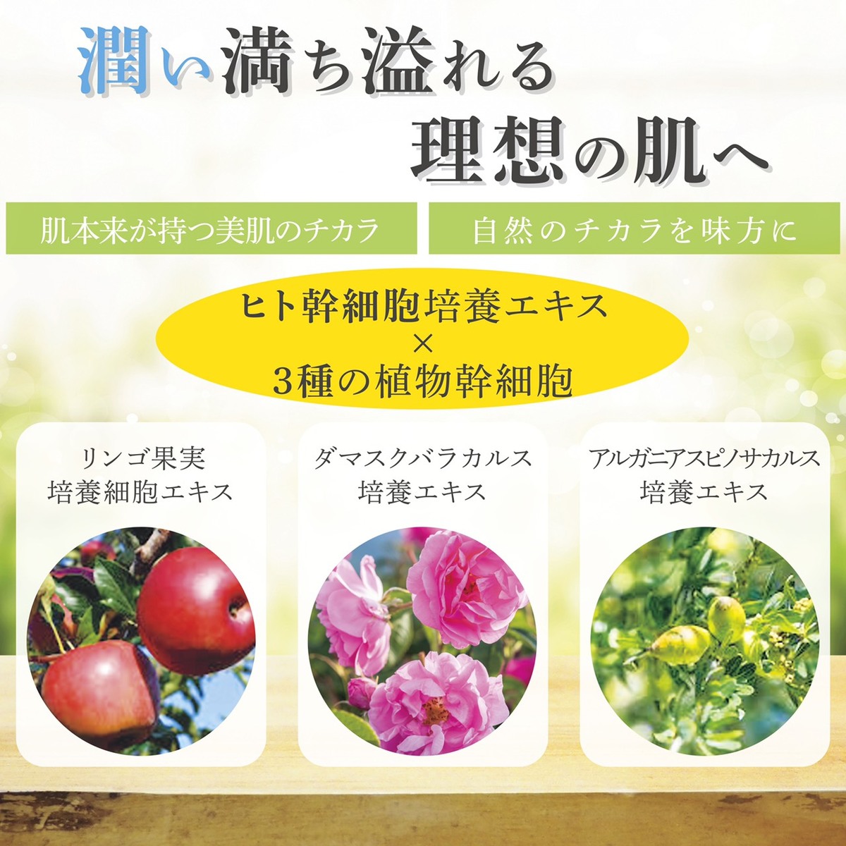 楽天市場 Regty ヒト幹細胞美容液 植物幹細胞 リグティ プロテオグリカン レチノール ビタミンc フラーレン ほうれい線 エイジングケア アンチエイジング シミ シワ くすみ 毛穴 美白 ハリ ツヤ A Style 楽天市場店