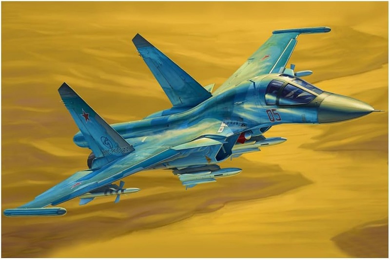 楽天市場】ホビーボス 1/48 ロシア空軍 Su-27 フランカーB
