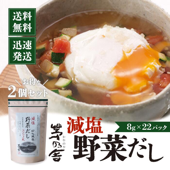 【マラソン期間中当店ポイント最大＋20倍】当日出荷 茅乃舎　減塩野菜だし （8g×22袋入) 2袋 かやのや