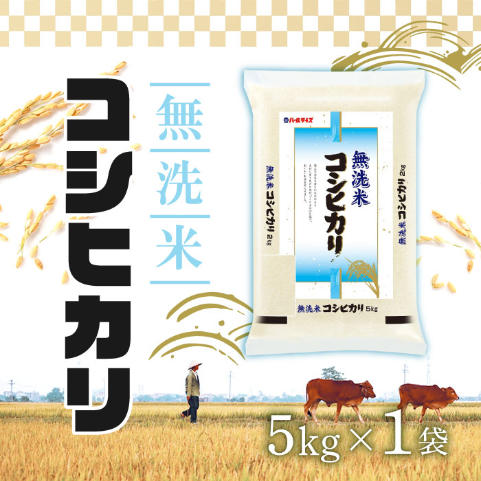 【25日2％オフクーポン有】ホクレン 無洗米 コシヒカリ 5kg