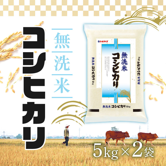 【25日2％オフクーポン有】ホクレン 無洗米 コシヒカリ 5kg ×2袋