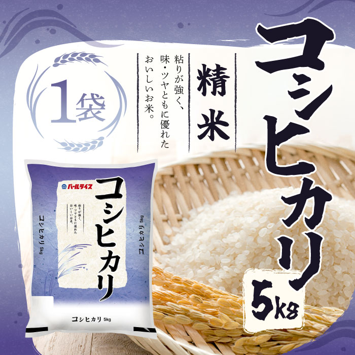 ホクレン - 【北海道産米100%】キタノイロドリ 5kg×4袋／ホクレン ブレンド米 北海道産 キタノイロドリ5kg×4袋 精米 | HOKUREN GREEN +PLUS
