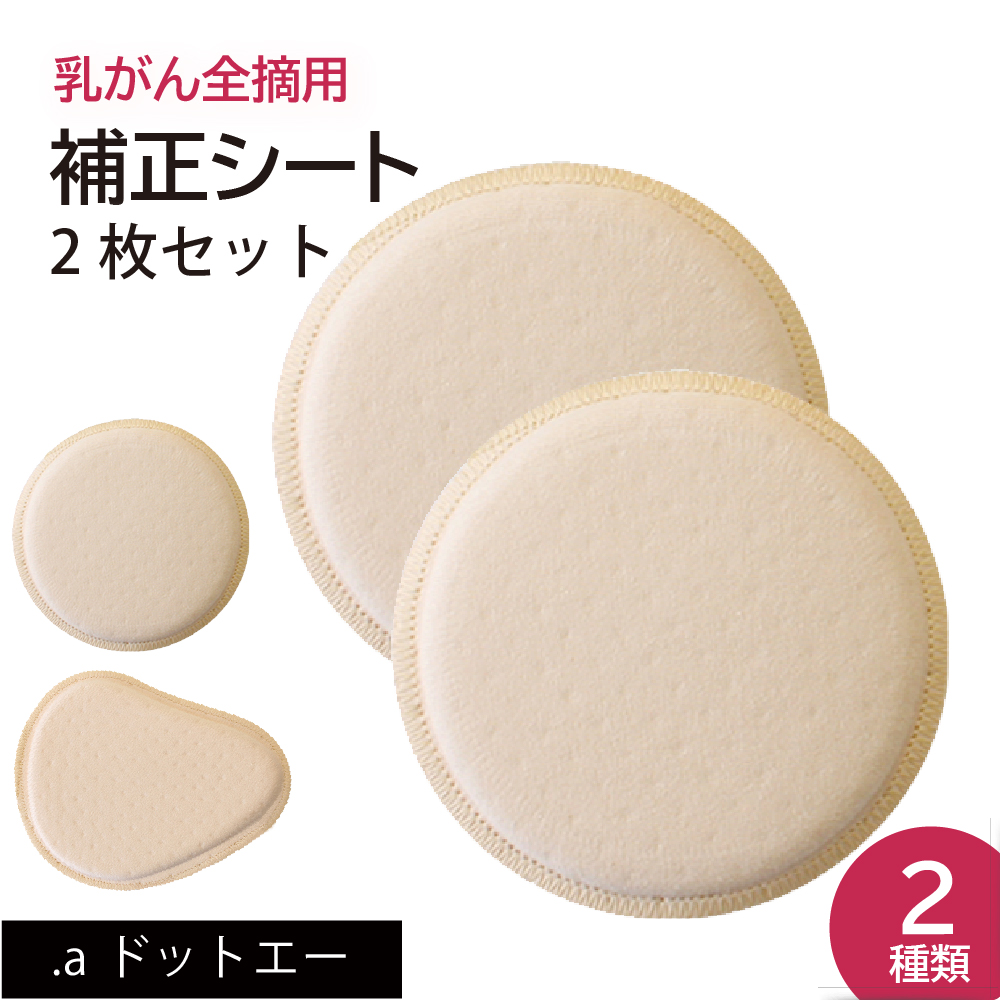 楽天市場】【乳がんパット+専用カバー】【セット】シリコン 全摘