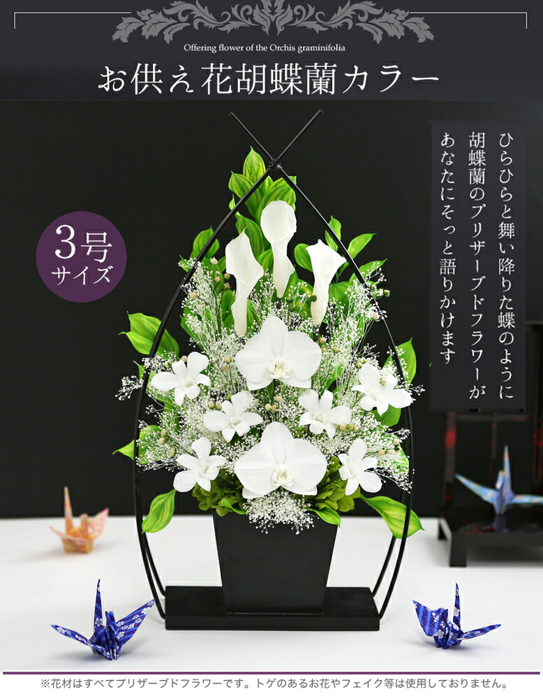 3号サイズ 胡蝶蘭カラークリアケース付 仏花 プリザーブドフラワー仏花 花 観葉植物 法事 弔電 プリザーブドフラワー 喪中はがき ブリザードフラワー仏壇用 お悔やみ 法事 お供え花 お供え 通夜 初盆 新盆 葬儀 告別式 枕花 お彼岸 法要 弔電 電報 仏事 送料無料