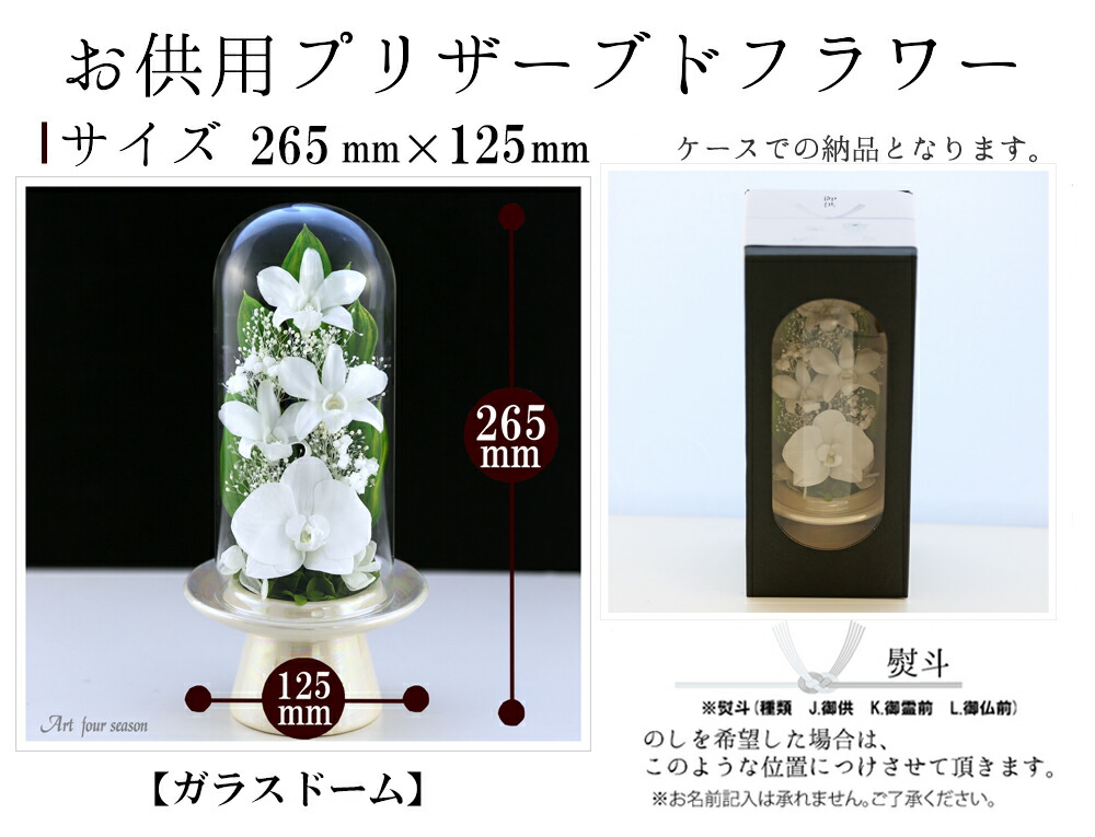 仏佳境 新盆 ペア立案set 蝶蝶蘭 Glassdome お授与花 法事 お供え花 一対 仏壇機能 吹雪御花 プリザーブドフラワー 仏壇 入れ物 お大悟 死別郵便端書 花 供花 お悔み 初盆 新盆 敷き妙花 神葬 告別祭儀 法要 弔電 電報 貨物輸送無料 あす造作ない合う 関東