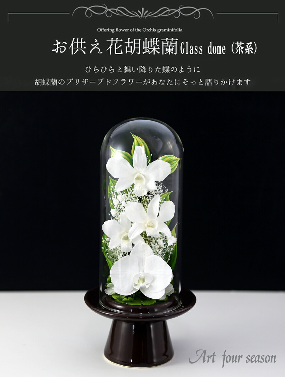 仏盛時 新盆 蝶蝶幽客 Glassdome お贈り物花 お供え プリザーブド花 吹雪フラワー 仏花 仏壇 入れ物 仏壇本旨 法事 お菩提 弔い郵便葉書 花 供花 お悔み 初盆 新盆 枕花 葬斂 告別祭事 法要 弔電 電報 貨物輸送無料 あす易しいフィット 関東 Digitalland Com Br