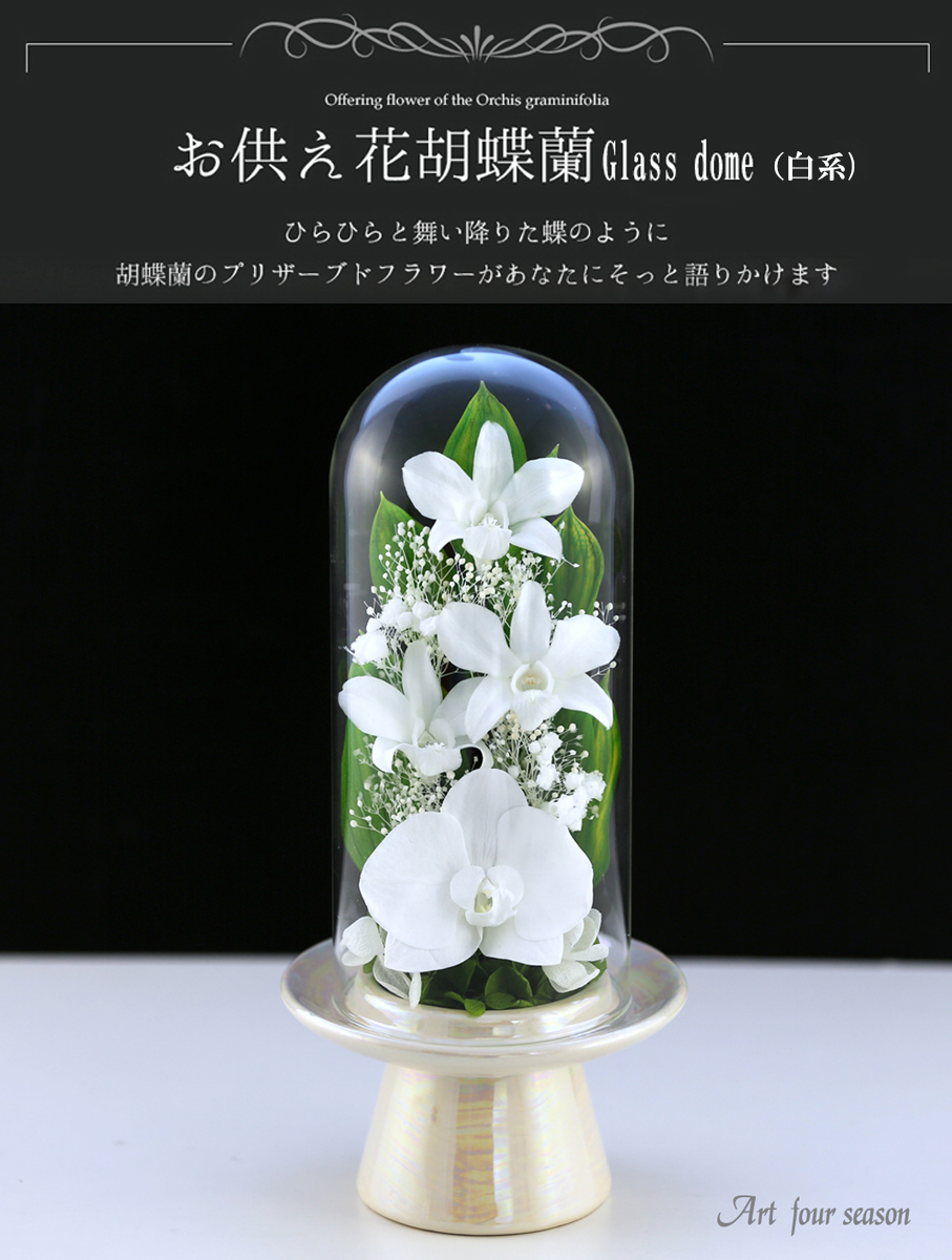 仏花 お供え花 胡蝶蘭 プリザーブド Glassdome お供え お供え 仏壇 プリザーブドフラワー仏花 ブリザードフラワー プリザーブドフラワー 仏壇 ケース 仏壇用 法事 お彼岸 喪中はがき 花 供花 お悔やみ 初盆 新盆 枕花 葬儀 告別式 法要 弔電 電報 送料無料 あす楽対応