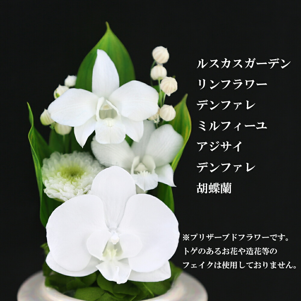 仏花 お供え花 対デザインset Mini胡蝶蘭 ミニglass 葬儀 お供え お悔やみ プリザーブドフラワー 新盆 一対 仏壇用 ブリザードフラワー小さな仏壇用 プリザーブドフラワー モダン仏壇 ミニ仏花 ケース 仏壇用 法事 初盆 新盆 お彼岸 喪中はがき供花 お悔やみ 葬儀 法要 仏花 お供え花 対デザインset Mini胡蝶蘭 ミニglass 葬儀 お供え お悔やみ プリザーブドフラワー 新盆 一対 仏壇用 ブリザードフラワー小さな仏壇用 プリザーブドフラワー モダン仏壇 ミニ仏花 ケース 仏壇用 法事 初盆 新盆 お彼岸 喪中はがき供花 お悔やみ 葬儀 法要