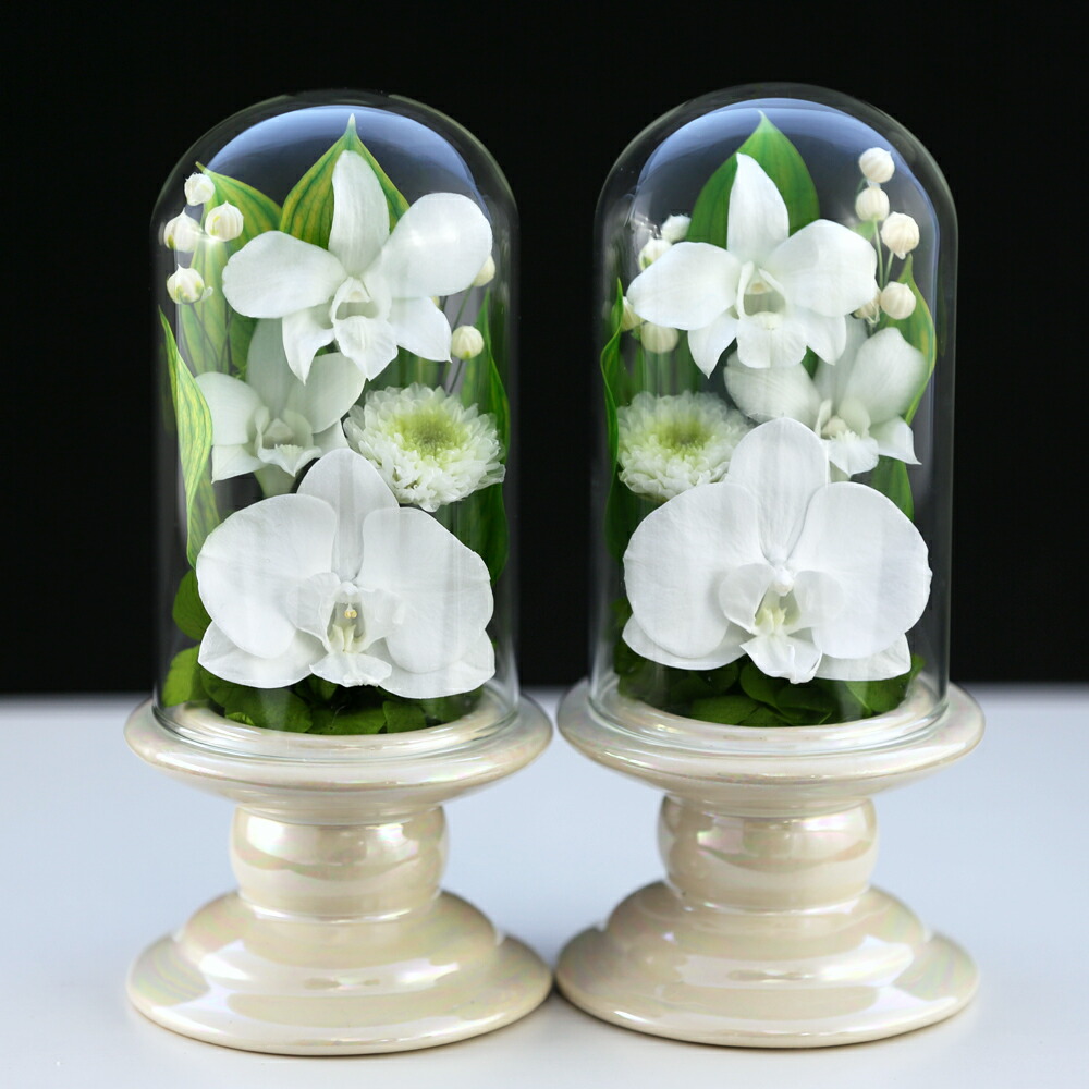 仏花 モダン仏壇 お供え花 対デザインset Mini胡蝶蘭 花 観葉植物 ミニglass 仏壇用 お供え プリザーブドフラワー 一対 仏壇用 ブリザードフラワー小さな仏壇用 プリザーブドフラワー モダン仏壇 ミニ仏花 ケース 仏壇用 法事 初盆 新盆 お彼岸 喪中はがき供花 仏花 モダン仏壇 お供え花 対デザインset Mini胡蝶蘭 花 観葉植物 ミニglass 仏壇用 お供え プリザーブドフラワー 一対 仏壇用 ブリザードフラワー小さな仏壇用 プリザーブドフラワー モダン仏壇 ミニ仏花 ケース 仏壇用 法事 初盆 新盆 お彼岸 喪中はがき供花