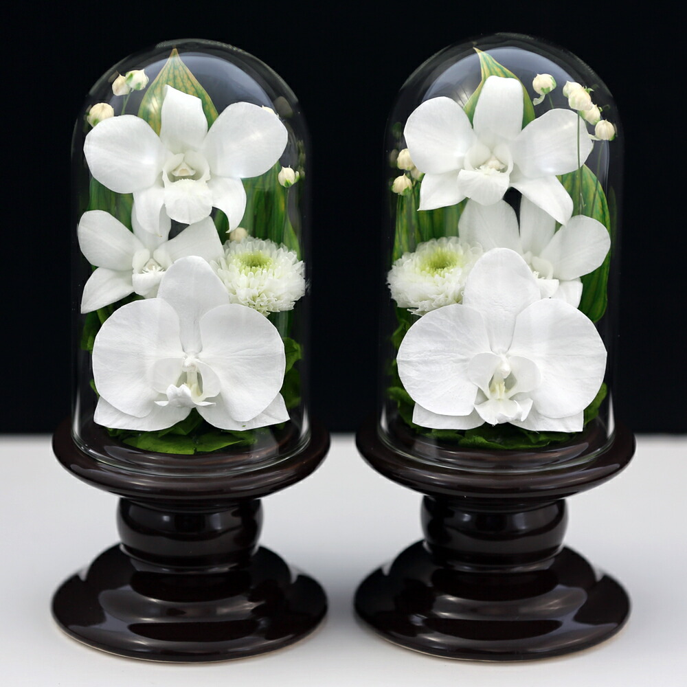 仏花 お供え花 対デザインset Mini胡蝶蘭 ミニglass 葬儀 お供え お悔やみ プリザーブドフラワー 新盆 一対 仏壇用 ブリザードフラワー小さな仏壇用 プリザーブドフラワー モダン仏壇 ミニ仏花 ケース 仏壇用 法事 初盆 新盆 お彼岸 喪中はがき供花 お悔やみ 葬儀 法要 仏花 お供え花 対デザインset Mini胡蝶蘭 ミニglass 葬儀 お供え お悔やみ プリザーブドフラワー 新盆 一対 仏壇用 ブリザードフラワー小さな仏壇用 プリザーブドフラワー モダン仏壇 ミニ仏花 ケース 仏壇用 法事 初盆 新盆 お彼岸 喪中はがき供花 お悔やみ 葬儀 法要
