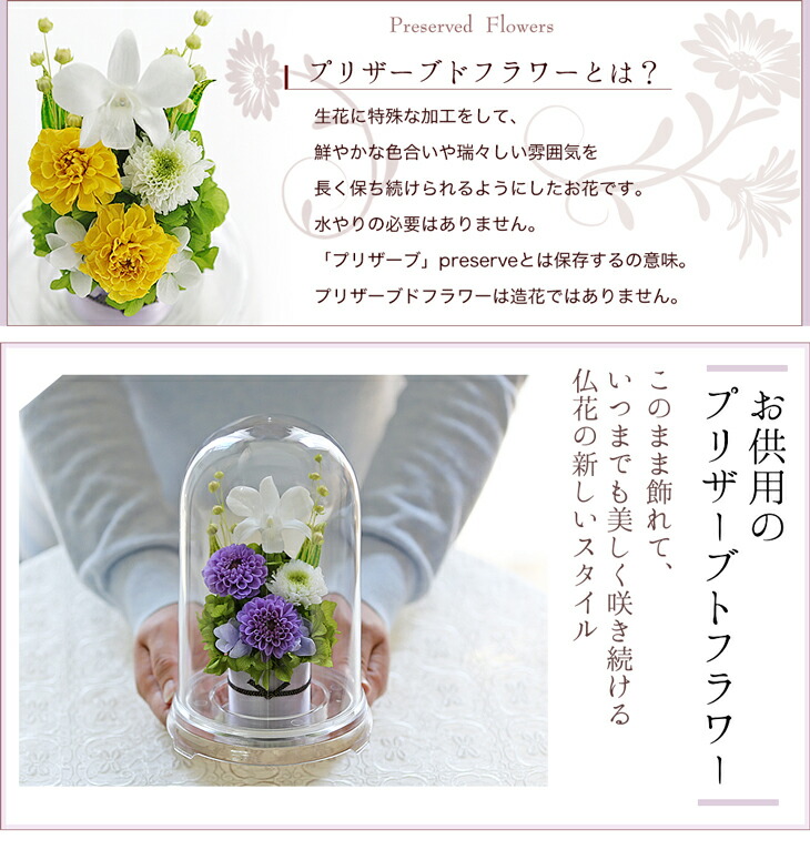 大特価放出 の初盆 お供え お供え花ドーム 対デザインset ブリザードフラワー 仏花 プリザーブドフラワー仏花 初盆 喪中はがき お悔やみ 対デザインset 席札 法事 新盆 仏壇用 弔電 電報 仏壇 命日 あす楽 送料無料 アートフォーシーズン仏壇用 プリザーブド 大特価放出 の初盆 お供え お供え花ドーム 対デザインset ブリザードフラワー 仏花 プリザーブドフラワー仏花 初盆 喪中はがき お悔やみ 対デザインset 席札 法事 新盆 仏壇用 弔電 電報 仏壇 命日 あす楽 送料無料 アートフォーシーズン仏壇用 プリザーブド